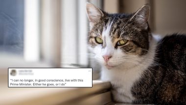 Larry the Cat Makes Announcement 'Either He Goes, or I Do' After Two UK Ministers Resigned From Boris Johnson Cabinet; See Viral Tweet of the Chief Mouser